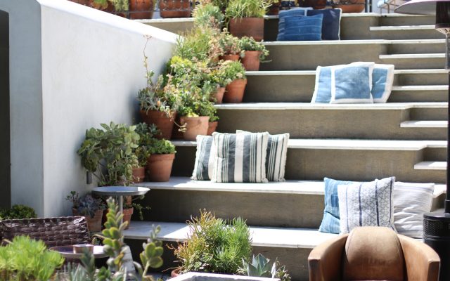 Ysabel Brunch Review Los Angeles Trendy PlusSize Blogger Lifestyle