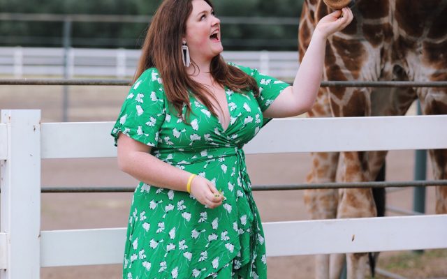 malibu-wine-safaris-stanley-the-giraffe-safe
