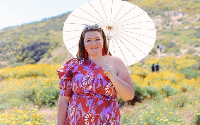 one-shoulder-fit-and-flare-dress-eloquii-plussize-spring-dresses