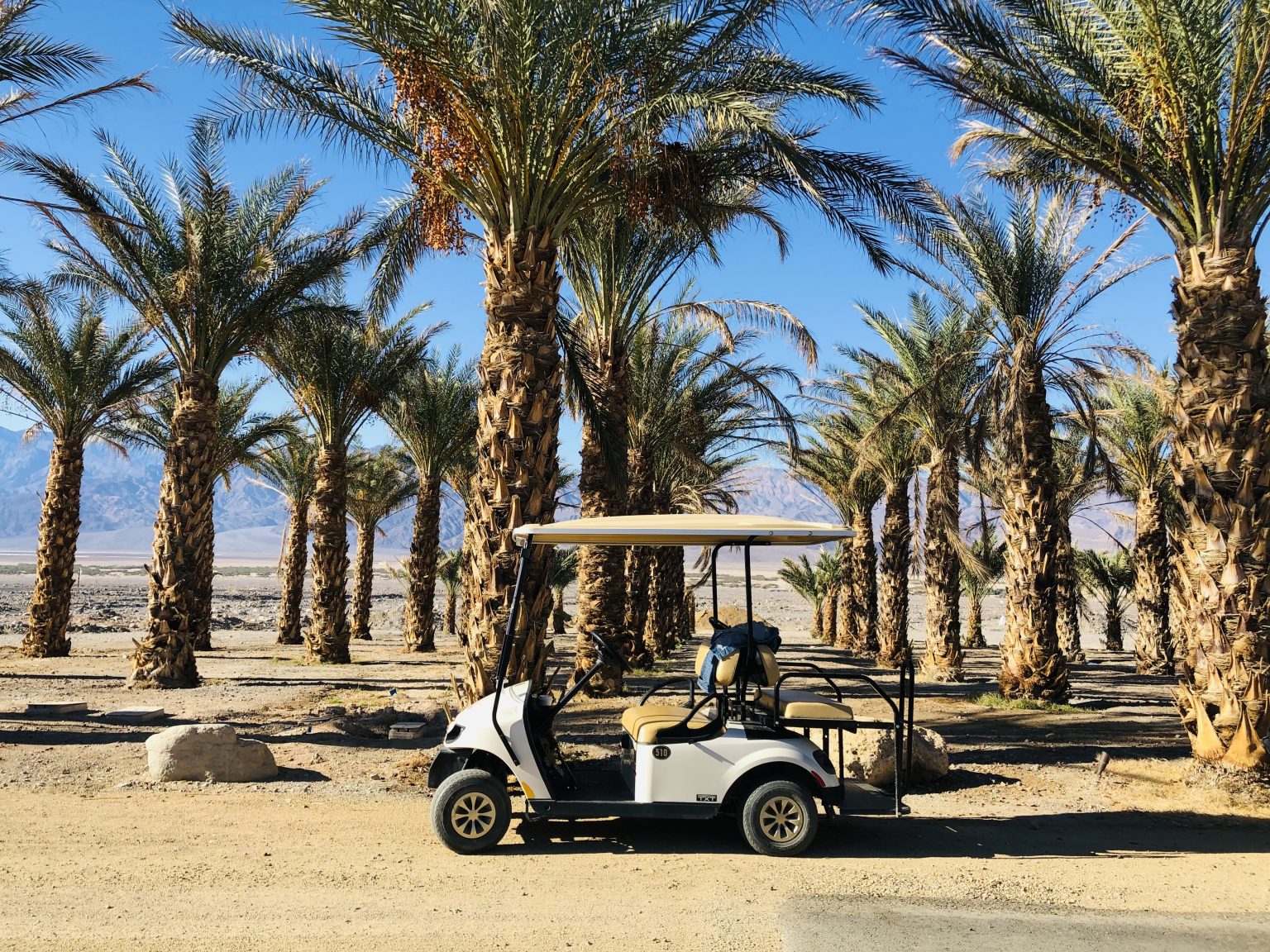 STAY THE OASIS AT DEATH VALLEY Lovely In LA